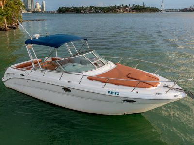 30′ Sea Ray Amberjack Yacht Rental, Miami FL